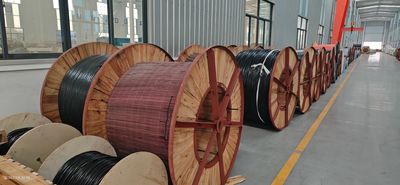 Shandong Jinyu Cable Co., Ltd. productielijn van de fabrikant