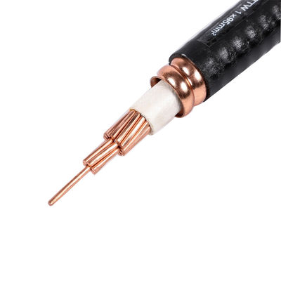 Gewapende instrument Kabel Zwarte schede Controlekabel Koperkern
